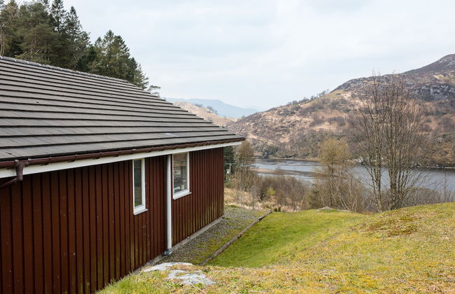 The Kingfisher - Foto 16