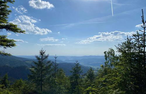 Graceland In the Black Forest - Foto 101