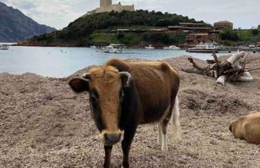 Vignarella meublé de tourisme classé 5 étoiles avec terrasse - Foto 59