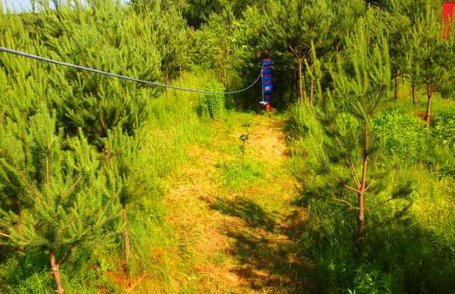 Pokoje Gościnne "Justyna" - Podlesice 34 - Foto 41