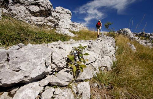 Apartments in Karlobag - Velebit Riviera 17083 - Foto 20