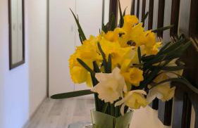 Leona's paradise - Photo 44