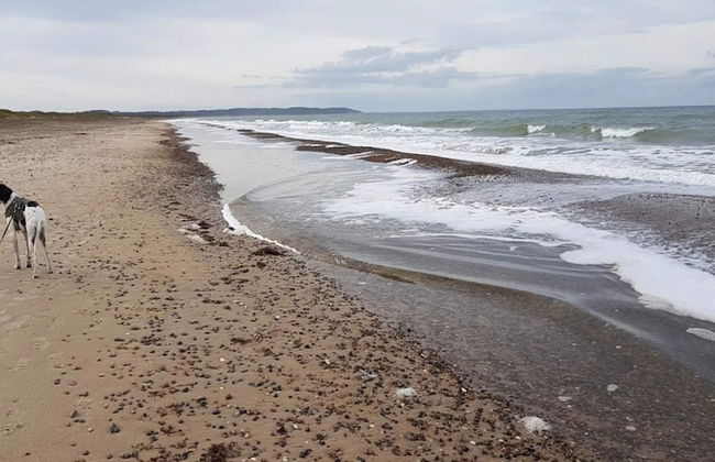 6 Person Holiday Home in Brovst - Foto 37