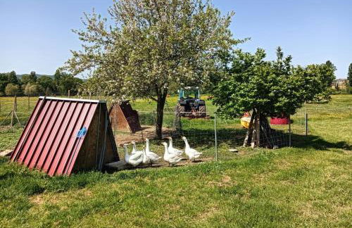 Agriturismo I Due Mondi - Foto 33