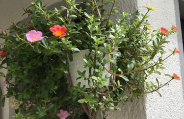 Ferienwohnung Lahnmündung - Foto 18