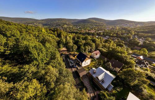 Apartamenty Larice balia, sauna, podgrzewany basen od 30 kwietnia - Foto 66