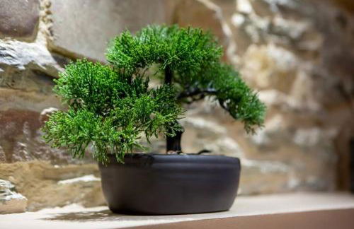 Nouveau - L'instant Passion - Love Room - Photo 16