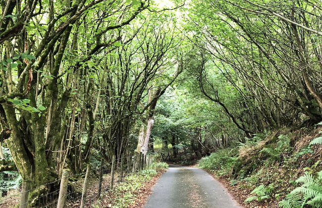 Drovers Retreat - Foto 21