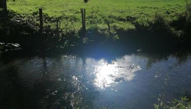 Cocottes & Colibri - Photo 2