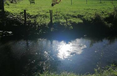 Cocottes & Colibri - Foto 2