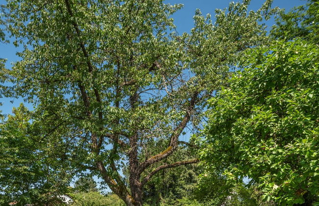 Gut Stohrerhof - Foto 65