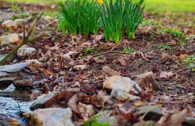 Le Ranch Normand - Foto 44