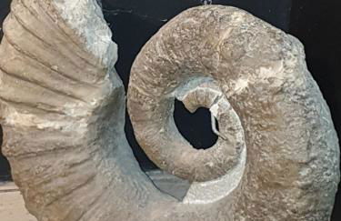 Très bel appartement avec piscine - Foto 23