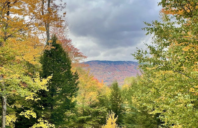 Vermont Serenity By Okemo 5 Bedroom Home - Foto 23