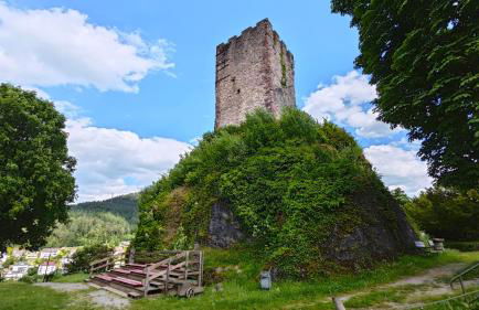 Schwarzwaldraum Schlossblick - Foto 30
