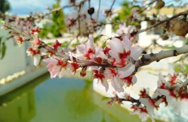 Casa Oasis - Paraiso na Terra - Foto 43