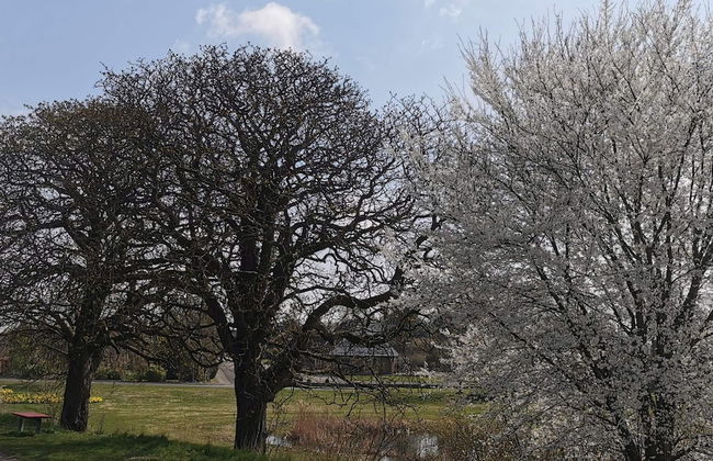 Holiday Home in Holeby - Foto 14