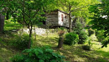 Casetta-Felicita - Foto 2, Garden