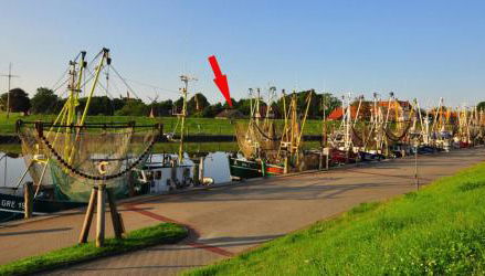 Ferienhaus Siebrands - Foto 2