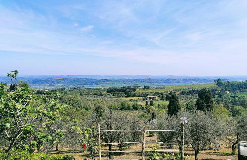 La Casina di Colle - Foto 13