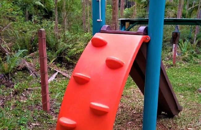 Sitio Libardo - Nova Trento - SC - Foto 28