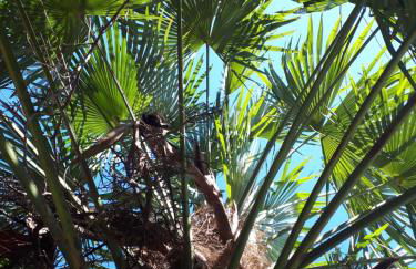 Quinta do Mirante - Foto 77