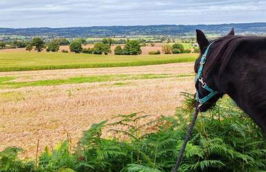 Le Ranch Normand - Foto 35
