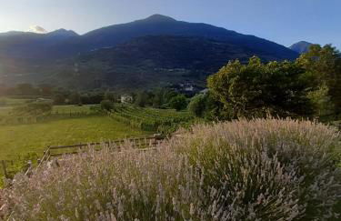 Ca' Dottori - Foto 21