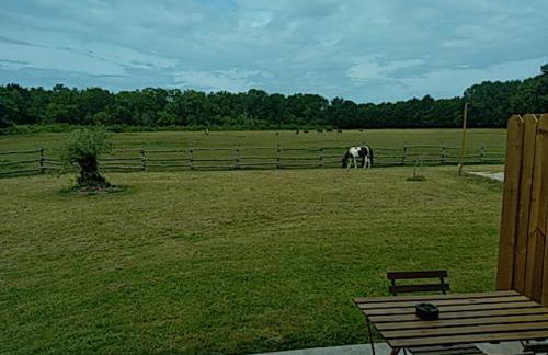 eco nature, gite à la ferme - Foto 12