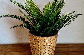 Ferienwohnung Friedrich - Photo 10