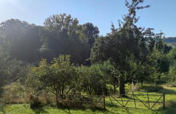 Laubushof - Idyllisches Apartment im Grünen mit Balkon - Foto 14