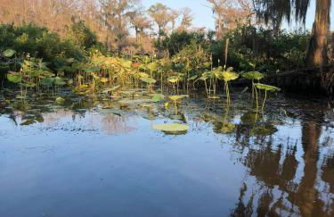 Cypress ChaletCaddo Lake Cabin with Kayaks - Foto 20