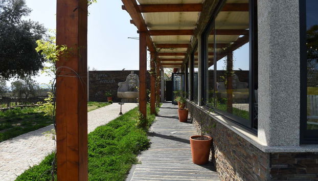 Quinta da Avessada Winery Tour - Foto 2