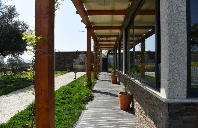 Quinta da Avessada Winery Tour - Foto 2