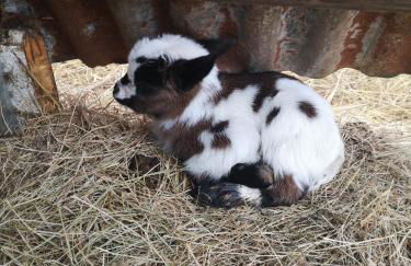 Quinta das Águias - Foto 19