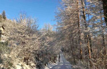 Cozy chalet in the Vosges with scenic views - Foto 15