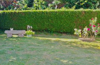 Petite maison - Foto 12