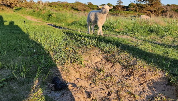 6 Person Holiday Home in Hjorring - Foto 4, Verschiedenes