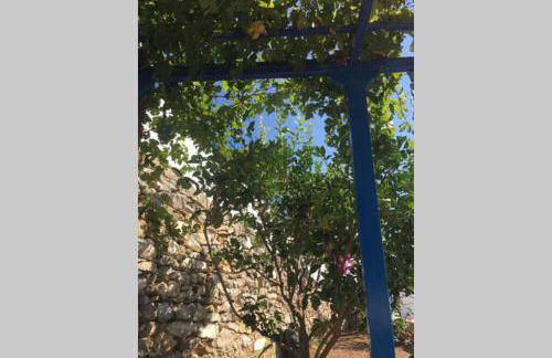 Cycladic houses in rural surrounding 3 - Foto 5