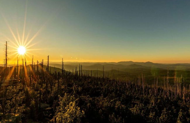 Cozy Apartment in Sonnen Bavaria near Forest - Foto 38