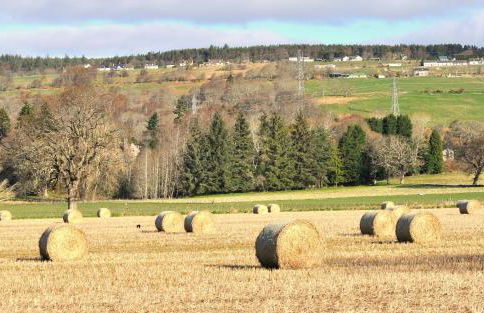 Ornum Cottage - Foto 12