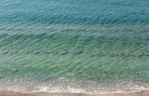 Les Agrumes - Foto 29