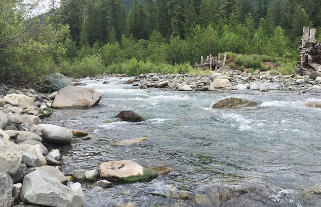 16GS - Hot Tub - BBQ - Pets Ok - Sleeps 2 - Foto 73