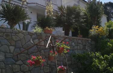 Apartmani Ivić Paka Rab - Photo 44