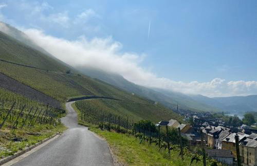 Apartment an der Mosel 2 - Foto 54