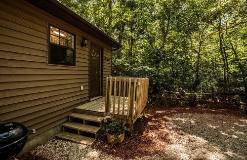 Family-Friendly Cabin Rental with River Views near Knoxville - Foto 11