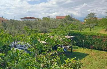 Villa Antonina - Foto 21