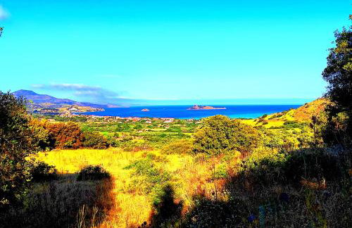 Anastasia's Corner - Photo 44