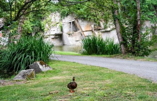 Carrière de la Tour - Foto 15