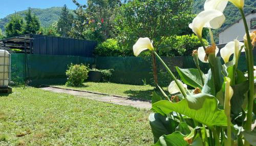 Maison Savignac les ormeaux - Foto 5